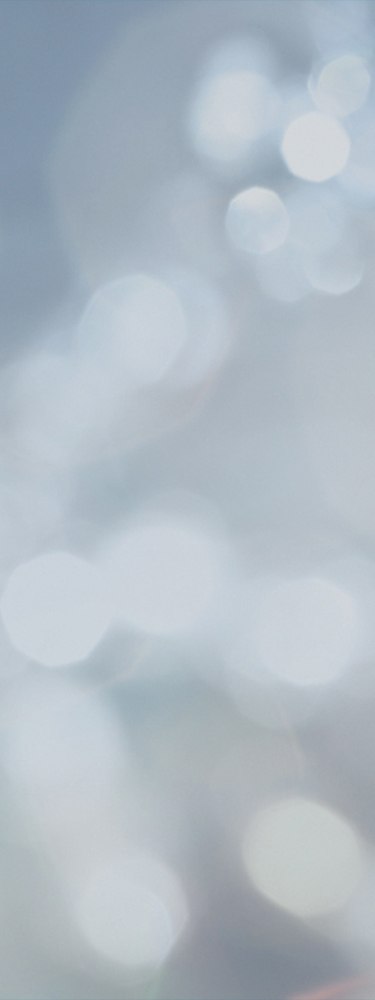 banner image